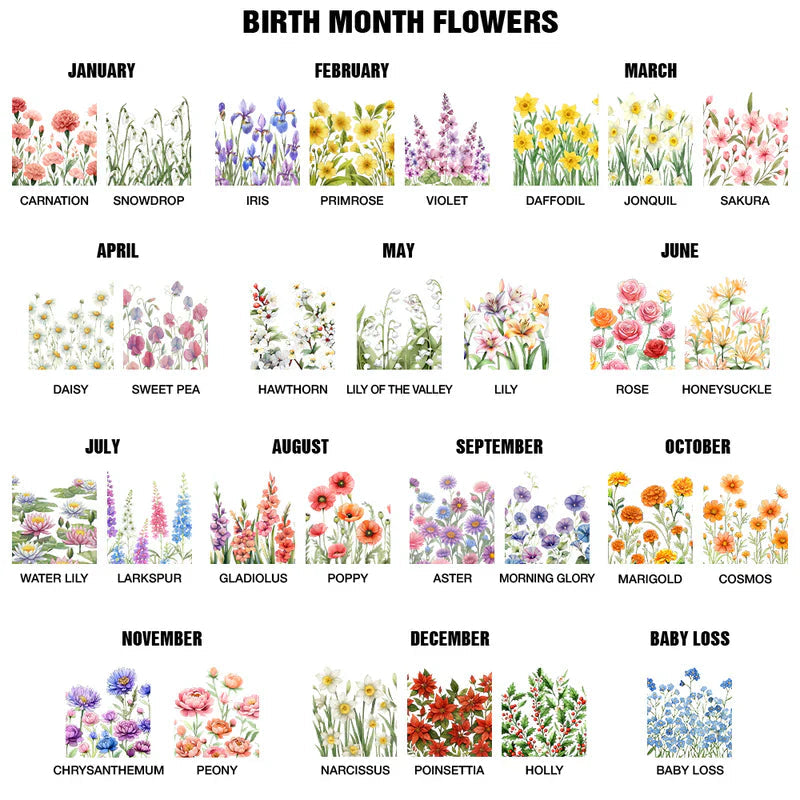 Gia Đình - Hồng Y Mẹ Bố Bà Ông Nội Hồng Y Vòng Tròn Trang Trí