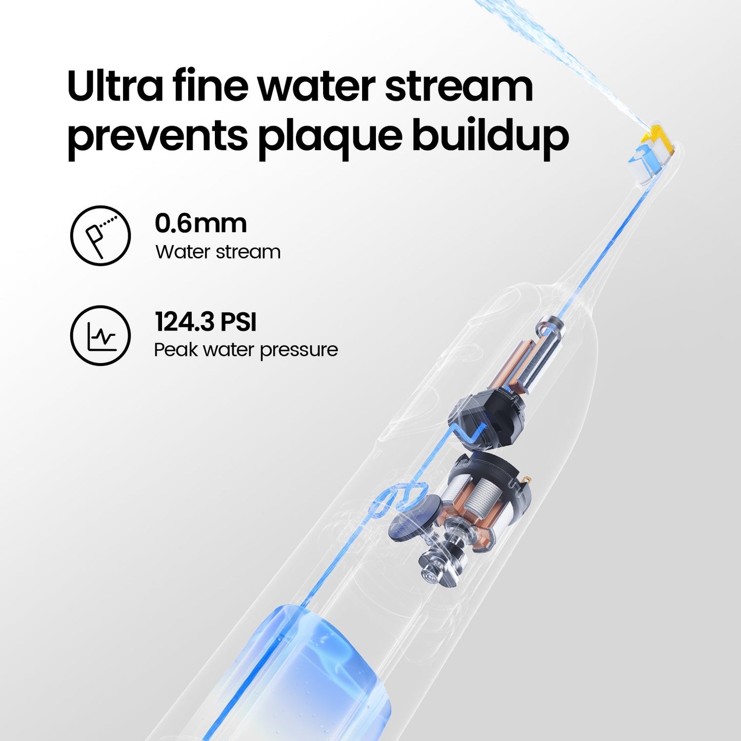 electric toothbrush with water flosser