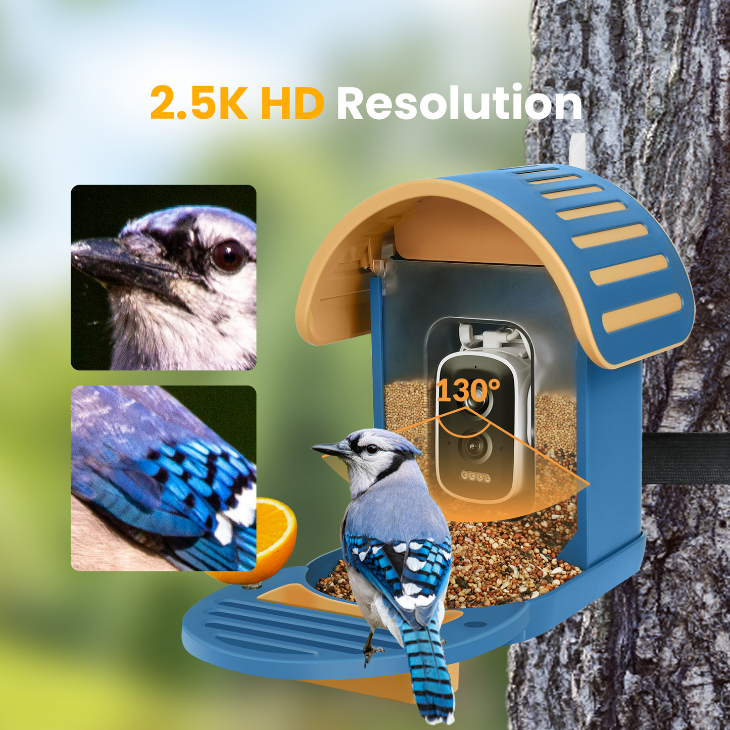 Vinguys Smart Bird Feeder V-Feeder