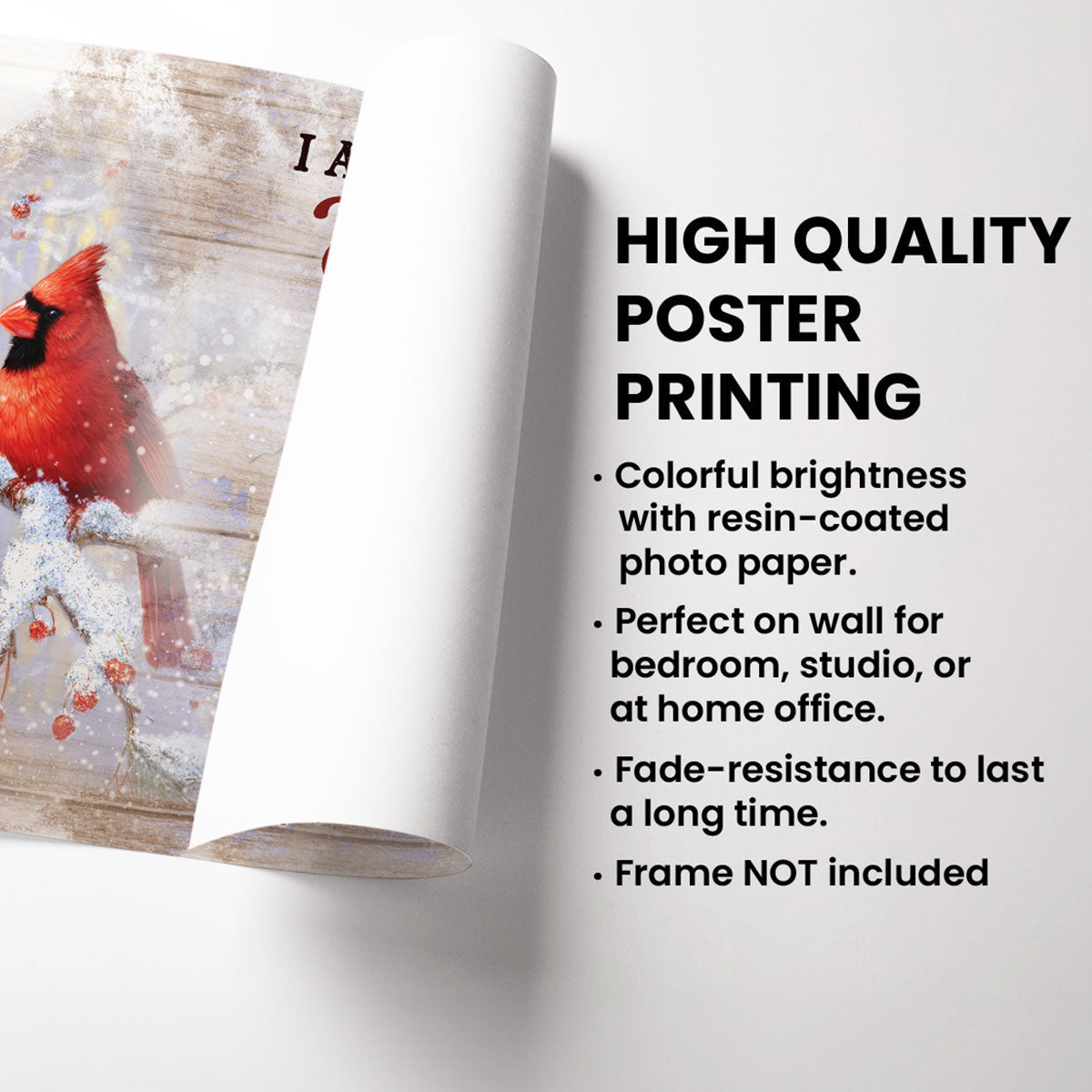 Cardinals Family Sitting Memorial Personalized Poster, Remembrance Gift, Sympathy Gift