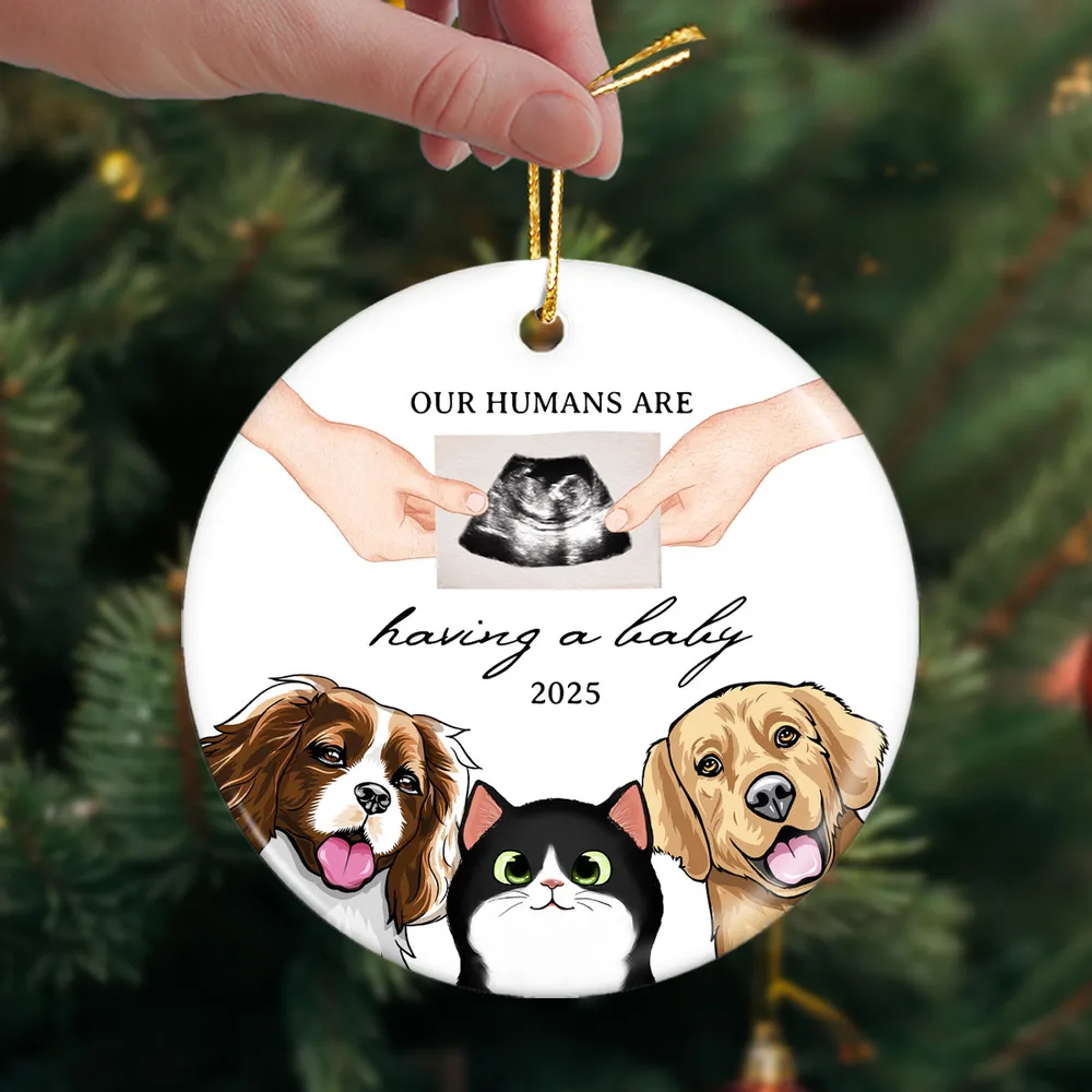 My Human Having A Baby, Personalized Pregnancy Announcement Ornament with Dogs Cats, Expecting Family Christmas Keepsake, Custom Gift