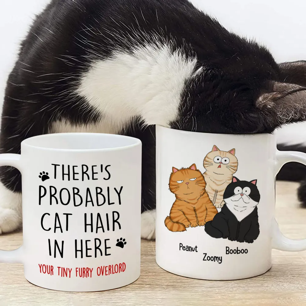 There's Probably Cat Hair In Here, Personalized Mug, Gift For Cat Mom, Cat Lover