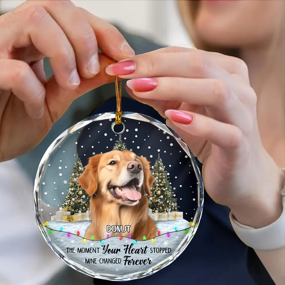 Custom Photo You Left Paw Prints Pet Memorial - Personalized Circle Acrylic Ornament