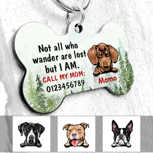 Personalized Dog Mom Dog Lost Wander Bone Pet Tag