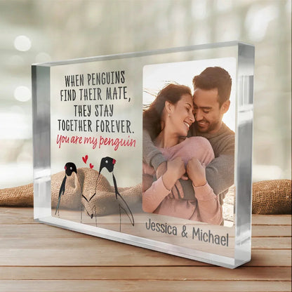 Custom Photo You Are My Penguin - Couple Personalized Custom Rectangle Shaped Acrylic Plaque - Gift For Husband Wife, Anniversary