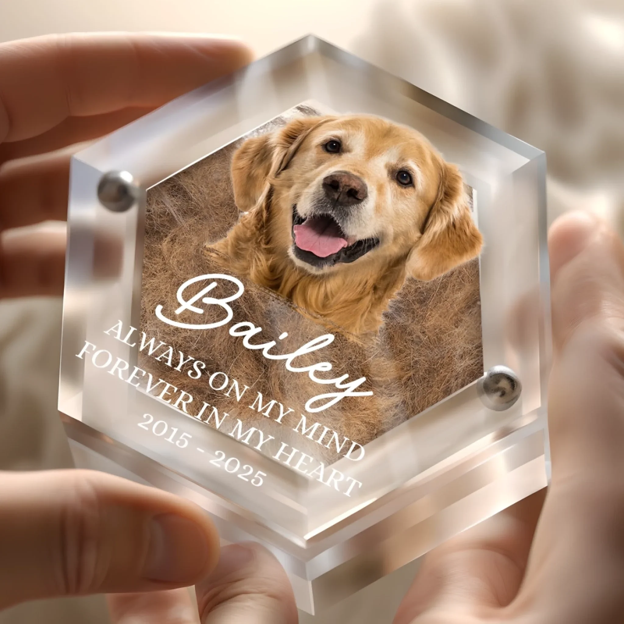 Custom Photo Pet Fur Keepsake - Personalized Pet Memorial Gifts For Dogs - Always In My Heart