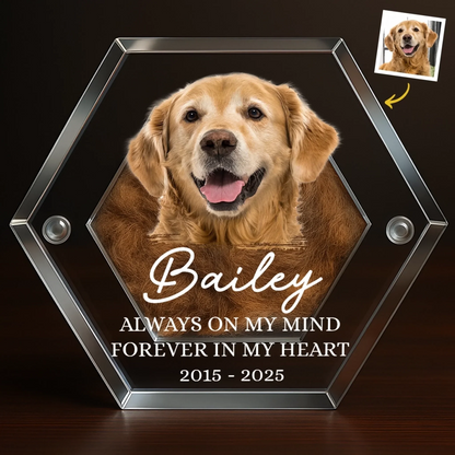 Custom Photo Pet Fur Keepsake - Personalized Pet Memorial Gifts For Dogs - Always In My Heart
