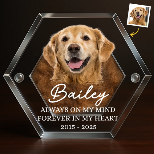 Custom Photo Pet Fur Keepsake - Personalized Pet Memorial Gifts For Dogs - Always In My Heart