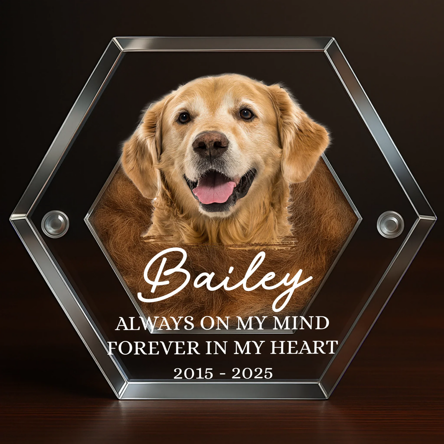 Custom Photo Pet Fur Keepsake - Personalized Pet Memorial Gifts For Dogs - Always In My Heart