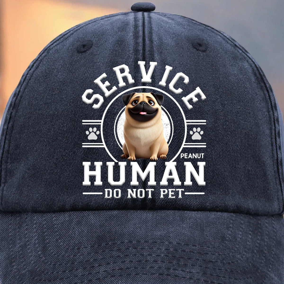 Custom Vintage Washed Denim Baseball Cap - Personalized Birthday Gifts For Dog Cat Lovers, Dog Dad And Mom, Cat Owners - Service Human, Do Not Pet
