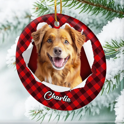 Custom Photo Acrylic Ornament - Personalized Christmas Birthday Gifts For Dog Cat Lovers, Dog Dad And Mom, Cat Owners - Tails Wag, Hearts Glow