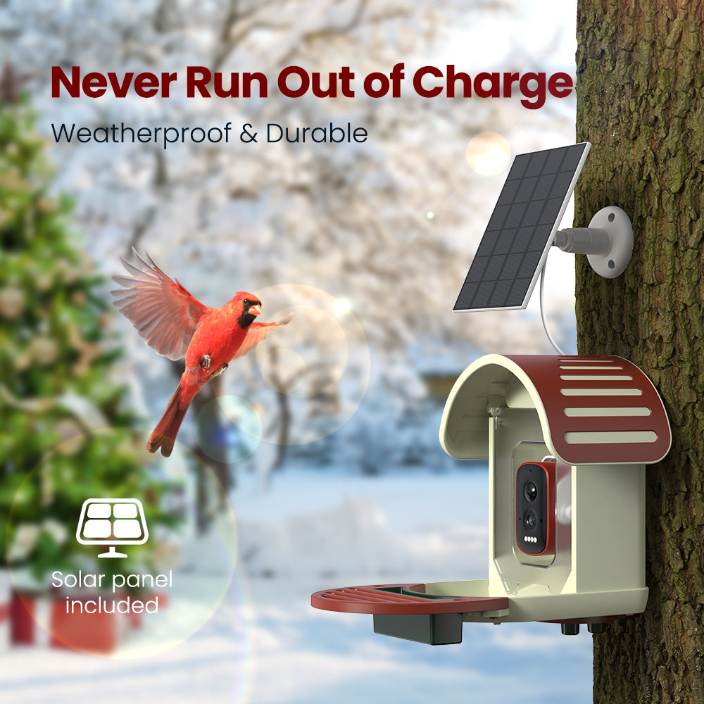 Vinguys Smart Bird Feeder V-Feeder Christmas Limited Editon