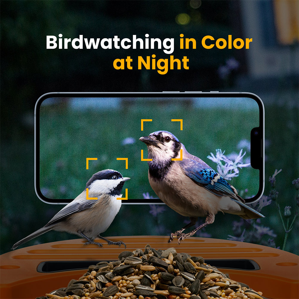 Vinguys Smart Bird Feeder V-Feeder