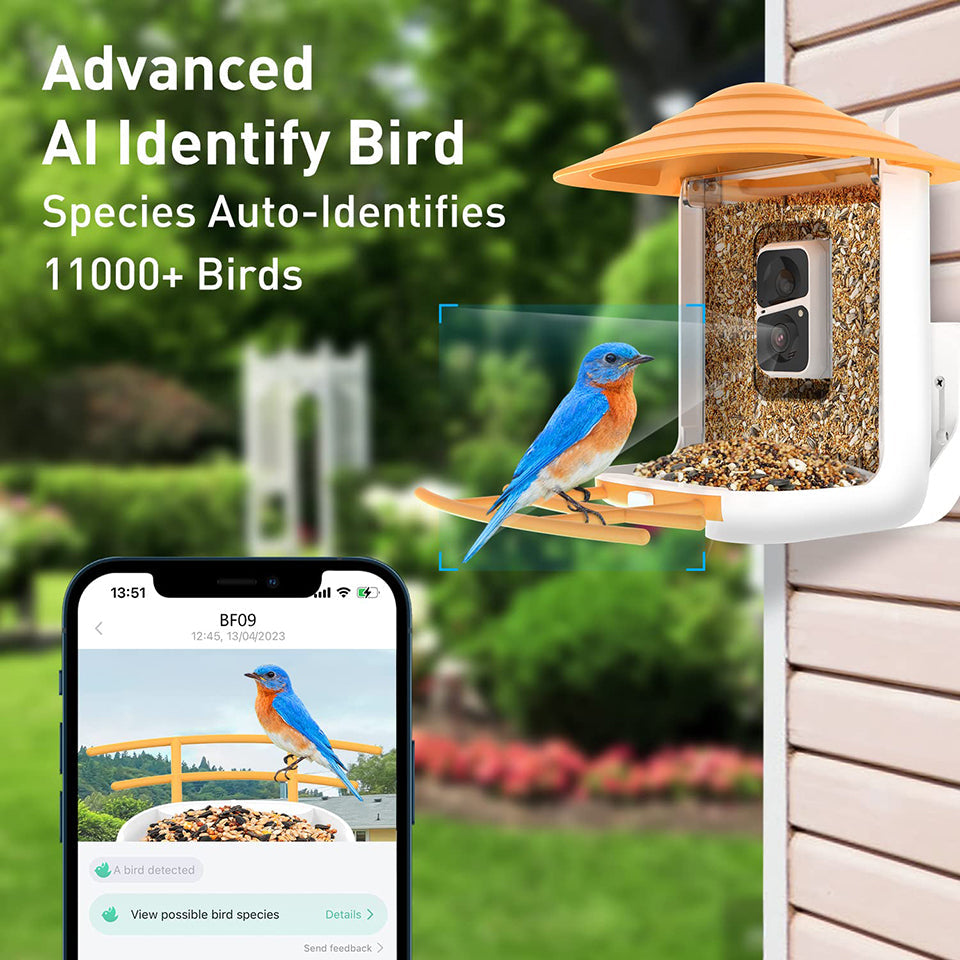 Soliom BF09 Bird Feeder with Camera 3-megapixel Lens, Pole Fitting