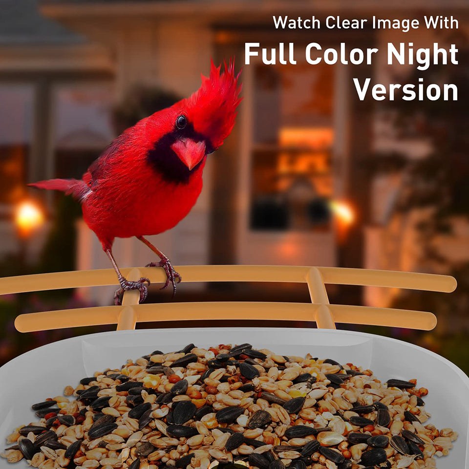 Soliom BF09 Bird Feeder with Camera 3-megapixel Lens, Pole Fitting