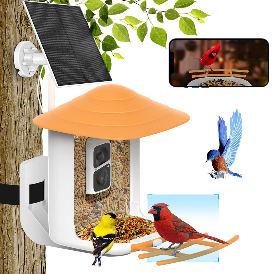 Soliom BF09 Bird Feeder with Camera 3-megapixel Lens, Pole Fitting