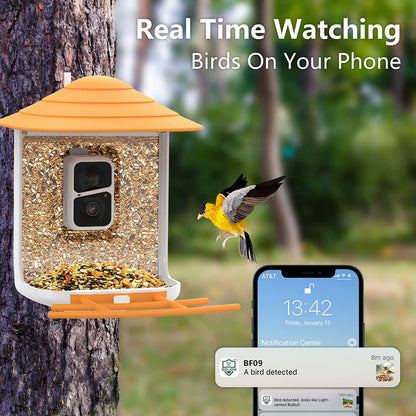 Soliom BF09 Bird Feeder with Camera 3-megapixel Lens, Pole Fitting