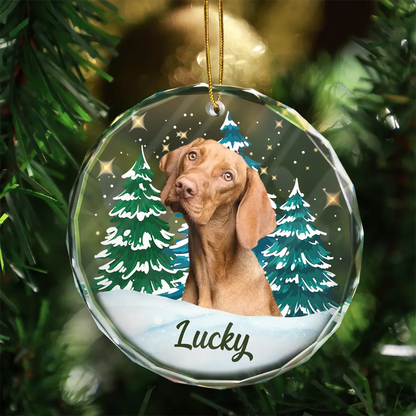 Custom Photo Pet Face Christmas Trees - Personalized Combo Circle Acrylic Ornament