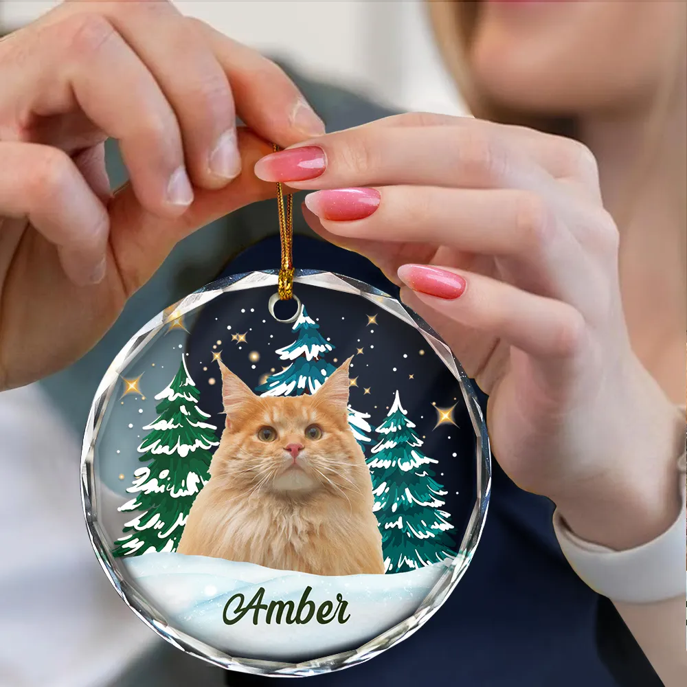 Custom Photo Pet Face Christmas Trees - Personalized Combo Circle Acrylic Ornament