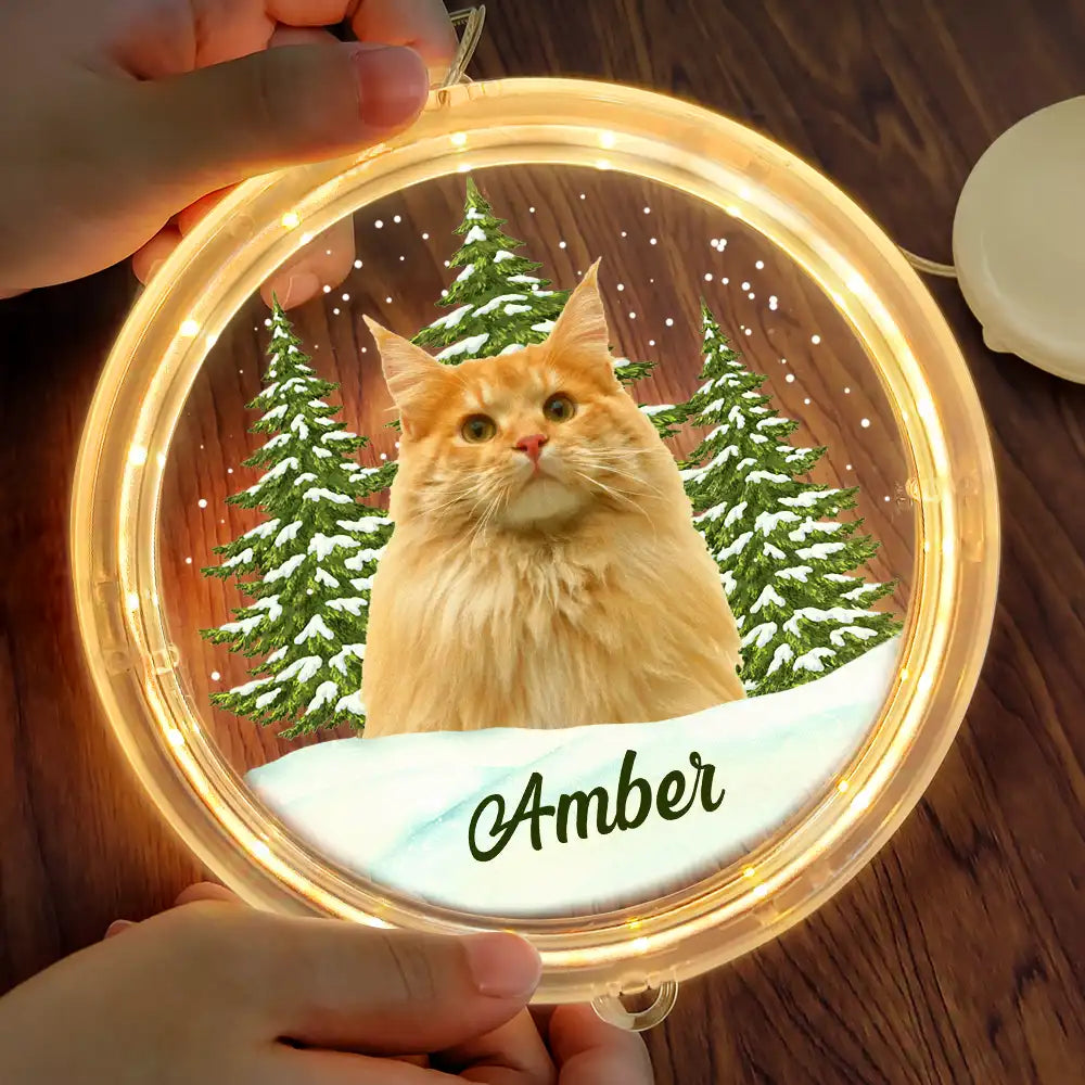 Custom Photo Pet Face Christmas Gift For Dog Cat Lovers - Personalized LED Pendant Light