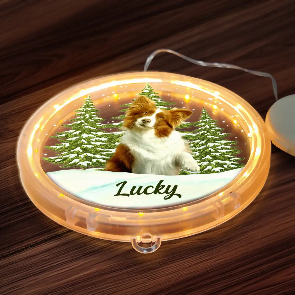 Custom Photo Pet Face Christmas Gift For Dog Cat Lovers - Personalized LED Pendant Light