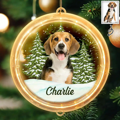 Custom Photo Pet Face Christmas Gift For Dog Cat Lovers - Personalized LED Pendant Light