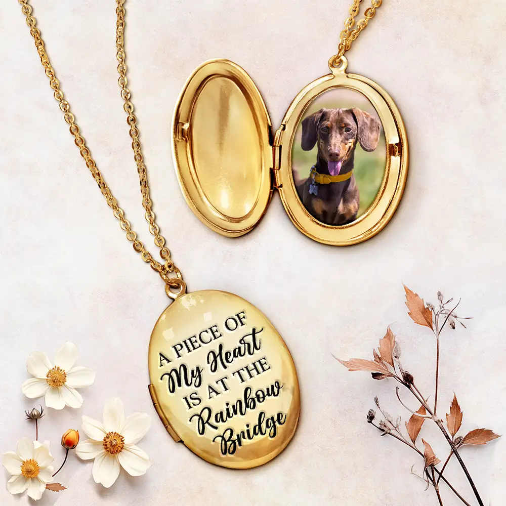 Custom Photo Pet Memorial You Left Paw Prints On My Heart - Personalized Locket Necklace