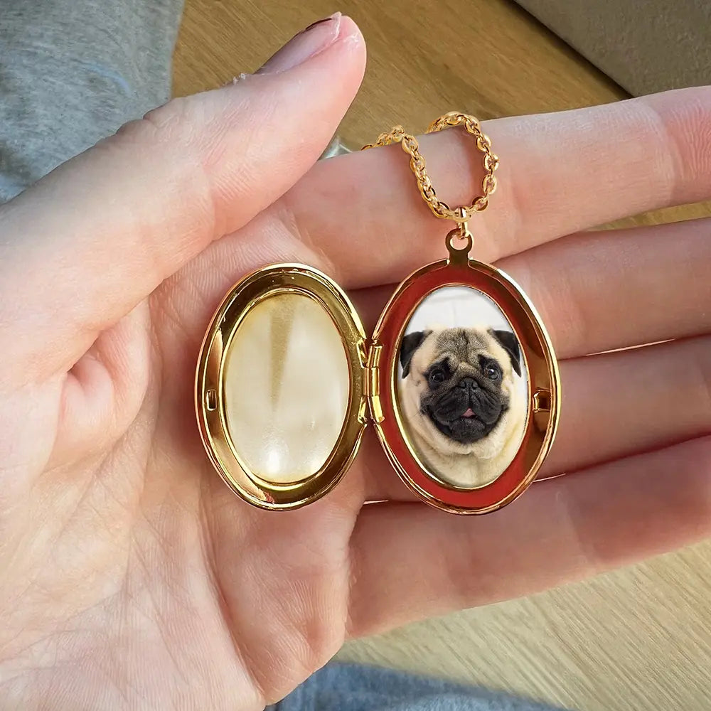 Custom Photo Pet Memorial You Left Paw Prints On My Heart - Personalized Locket Necklace