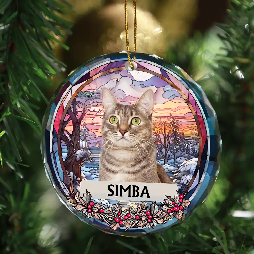 Custom Photo Christmas Memorial Family Dog Cat - Personalized Circle Glass Ornament