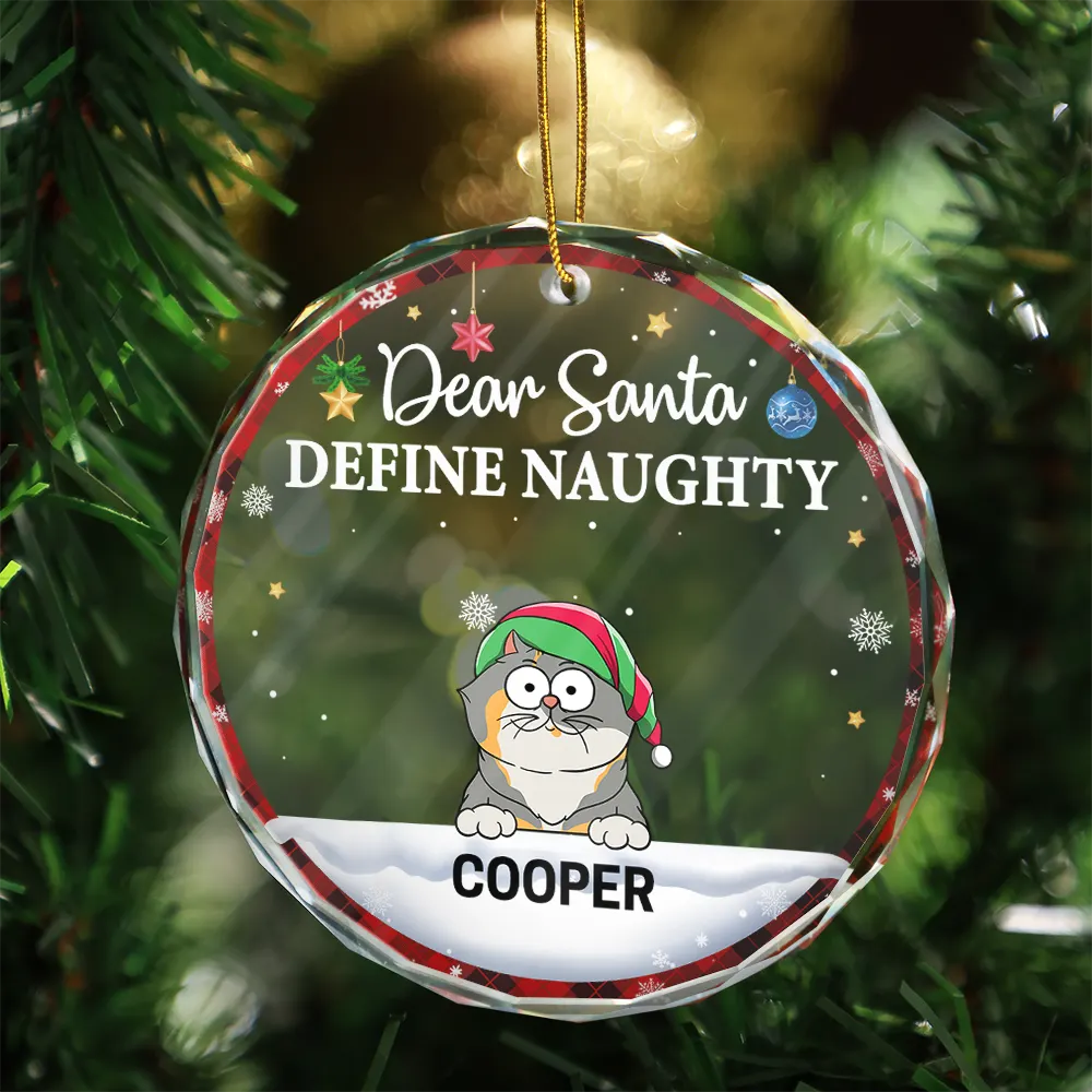 Dear Santa Define Naughty Christmas Dog Cat - Personalized Circle Ornament