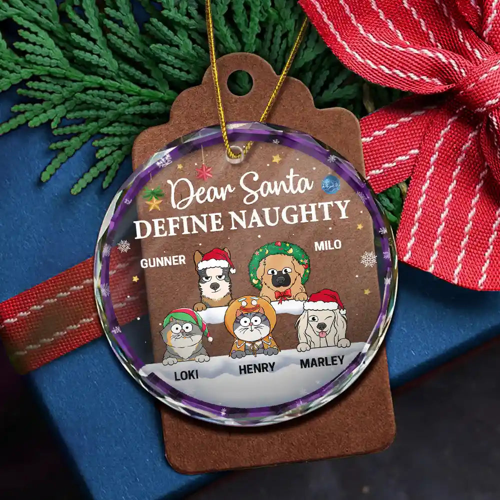 Dear Santa Define Naughty Christmas Dog Cat - Personalized Circle Ornament