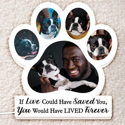 Custom Photo You Were My Favorite Hello And My Hardest Goodbye - Memorial Gift For Pet Lovers, Dog Mom, Dog Dad, Cat Mom, Cat Dad - Personalized Custom Shaped Photo Light Box