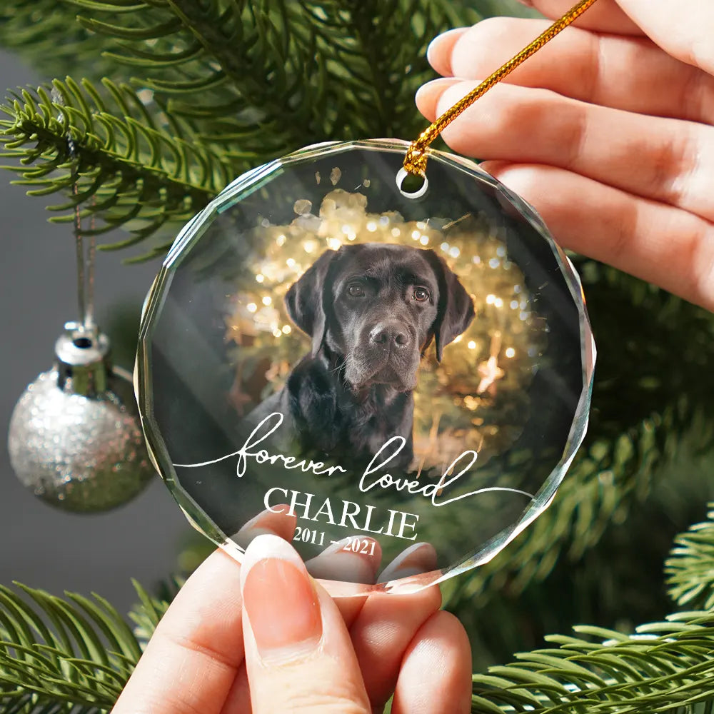 Custom Photo Memorial Pet Forever Loved - Personalized Circle Glass Ornament