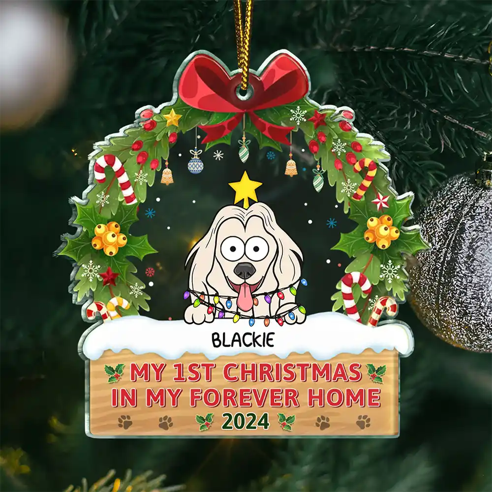 My 1st Christmas In My Forever Home Funny Pet - Personalized Custom Shaped Acrylic Ornament