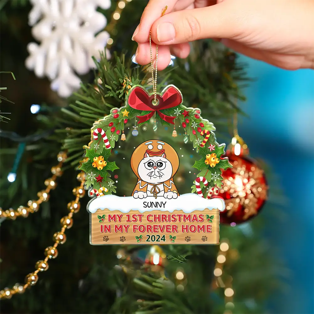 My 1st Christmas In My Forever Home Funny Pet - Personalized Custom Shaped Acrylic Ornament