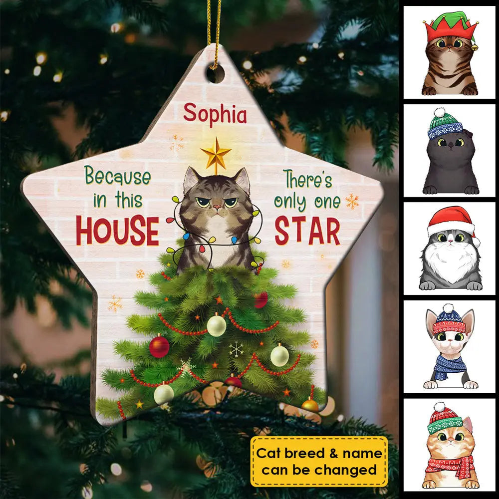 Because In This House - There's Only One Star - Personalized Custom Star Shaped Wood Christmas Ornament ornament The Next Custom Gift