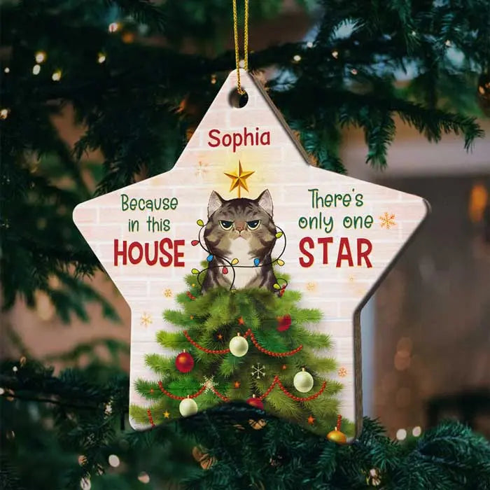 Because In This House - There's Only One Star - Personalized Custom Star Shaped Wood Christmas Ornament ornament The Next Custom Gift