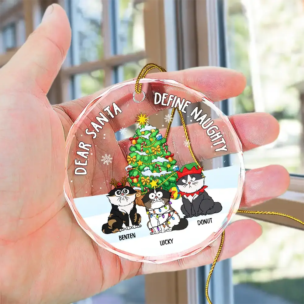 Christmas Funny Cartoon Cats On The Naughty List - Personalized Circle Glass Ornament Ornament The Next Custom Gift