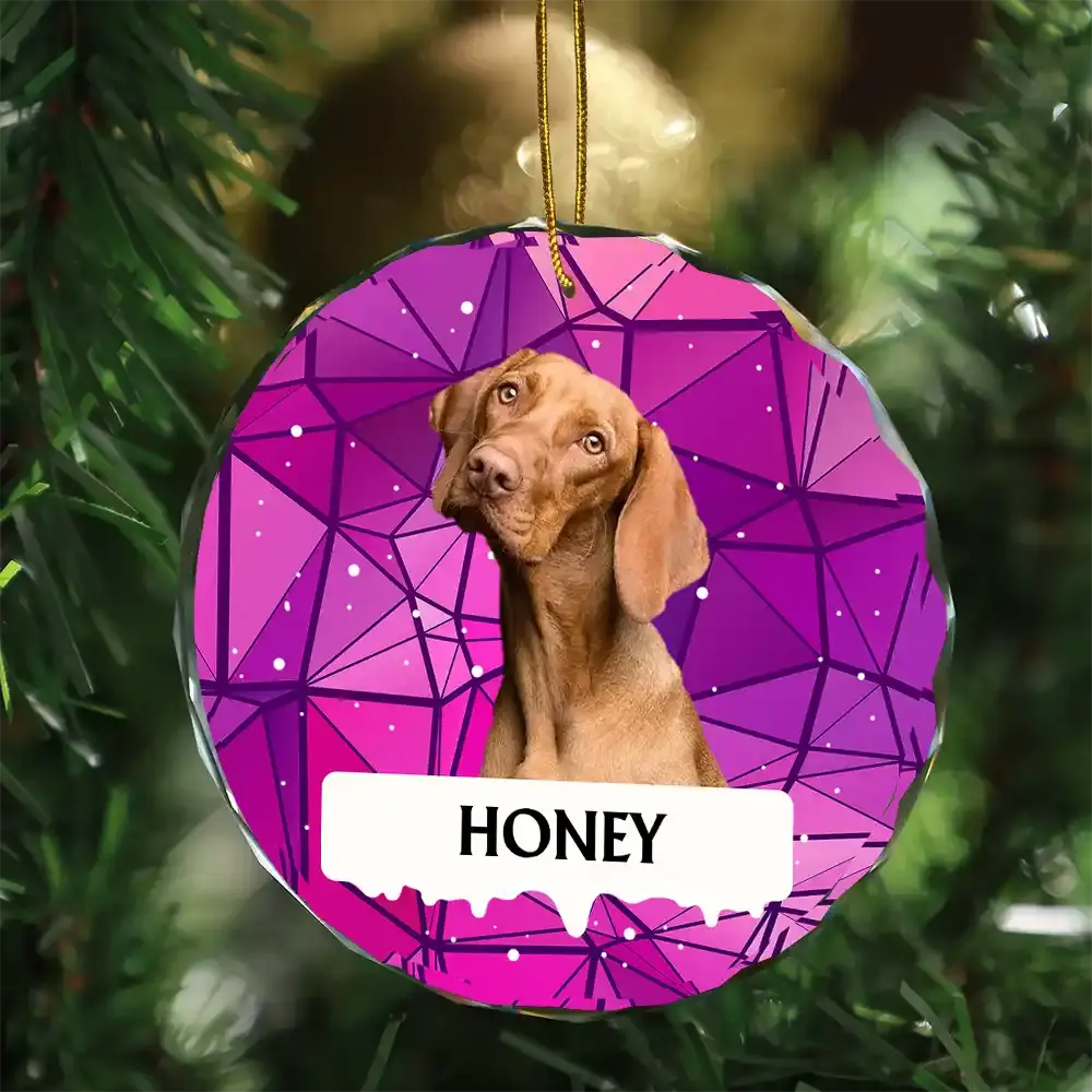 Custom Photo Best Friend For Life Christmas Memorial Dog Cat - Personalized Circle Acrylic Ornament Ornament The Next Custom Gift