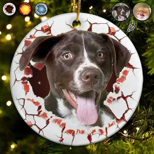 Custom Photo Dog Cat Breaking Through Ornament - Personalized Circle Acrylic Ornament