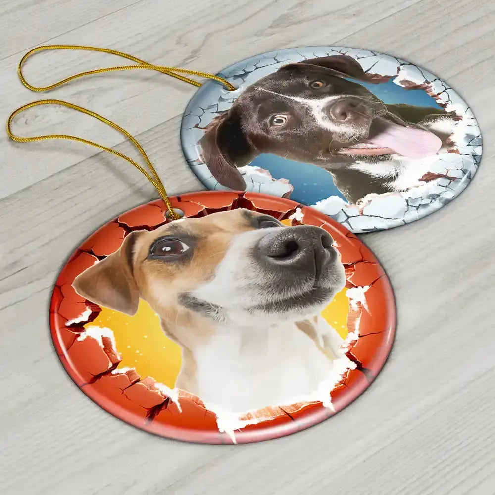 Custom Photo Dog Cat Breaking Through Ornament - Personalized Circle Acrylic Ornament