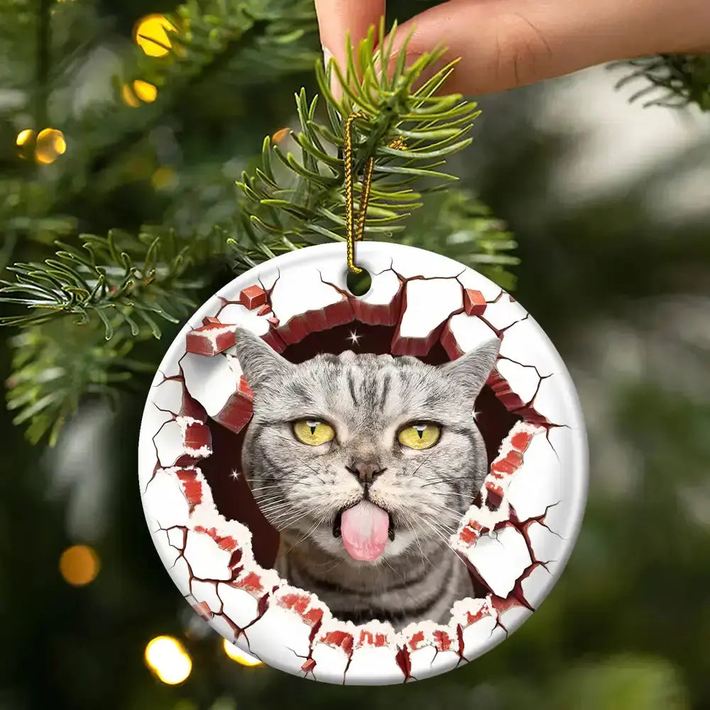 Custom Photo Dog Cat Breaking Through Ornament - Personalized Circle Acrylic Ornament