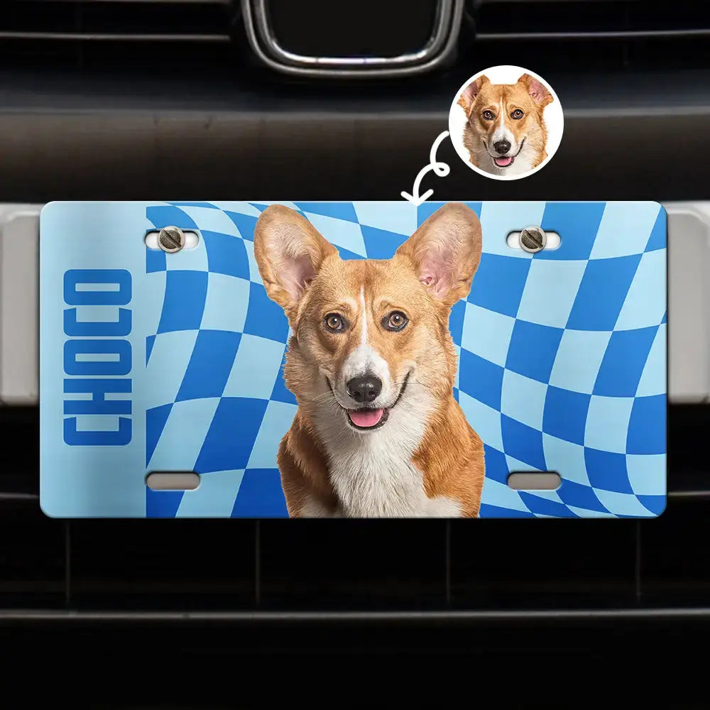 Custom Photo Dog Cat - Personalized License Plate License Plate The Next Custom Gift