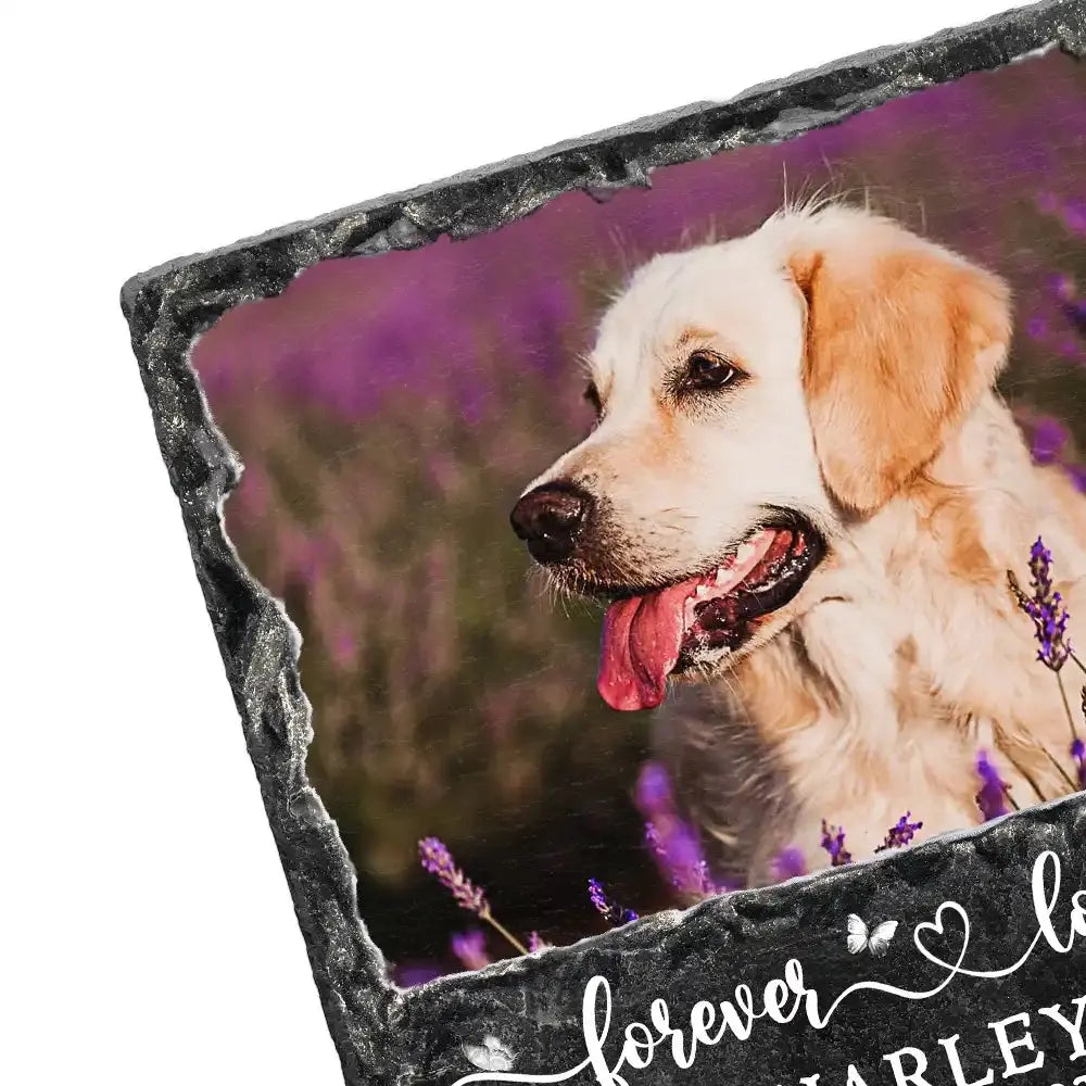 Custom Photo Forever In My Heart - Personalized Rectangle Memorial Garden Stone STONE The Next Custom Gift