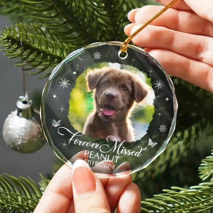 Custom Photo Memorial Dog Cat Loss Keepsake - Personalized Circle Acrylic Ornament ornament The Next Custom Gift