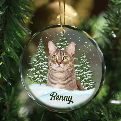 Custom Photo Pet Face - Christmas Gift For Dog Lovers, Cat Lovers, Pet Lovers, Pet Memorial - Personalized Circle Glass Ornament ornament The Next Custom Gift