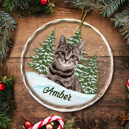 Custom Photo Pet Face - Christmas Gift For Dog Lovers, Cat Lovers, Pet Lovers, Pet Memorial - Personalized Circle Glass Ornament ornament The Next Custom Gift