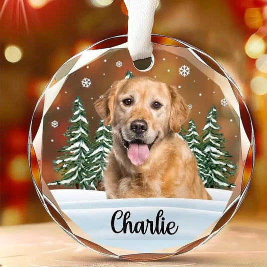 Custom Photo We Still Miss You - Memorial Personalized Custom Circle Glass Ornament - Christmas Gift, Sympathy Gift For Pet Owners, Pet Lovers ornament The Next Custom Gift