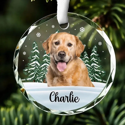 Custom Photo We Still Miss You - Memorial Personalized Custom Circle Glass Ornament - Christmas Gift, Sympathy Gift For Pet Owners, Pet Lovers ornament The Next Custom Gift