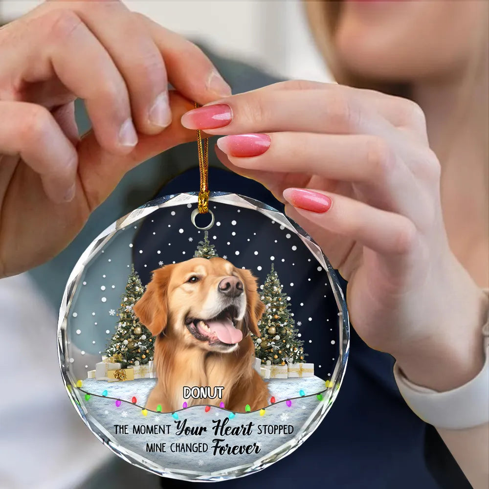 Custom Photo You Left Paw Prints Pet Memorial - Personalized Circle Glass Ornament